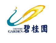 南京碧桂园地产